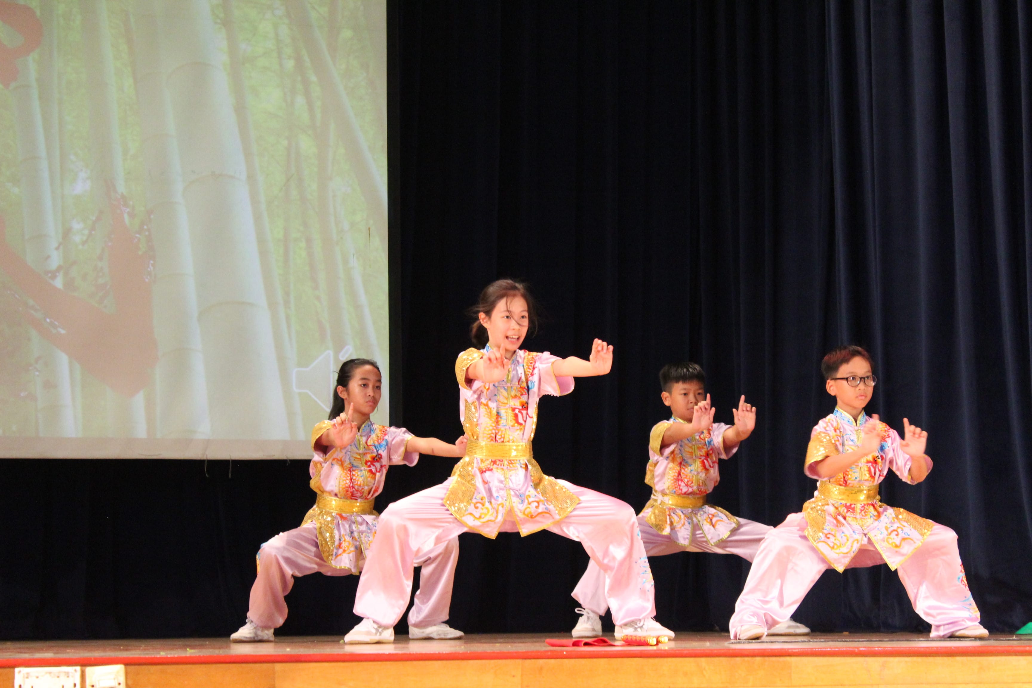 Wushu Performance